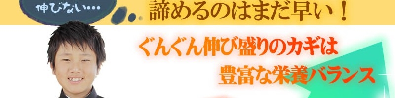 �̂т̂уX���[�W�[���T�C�g